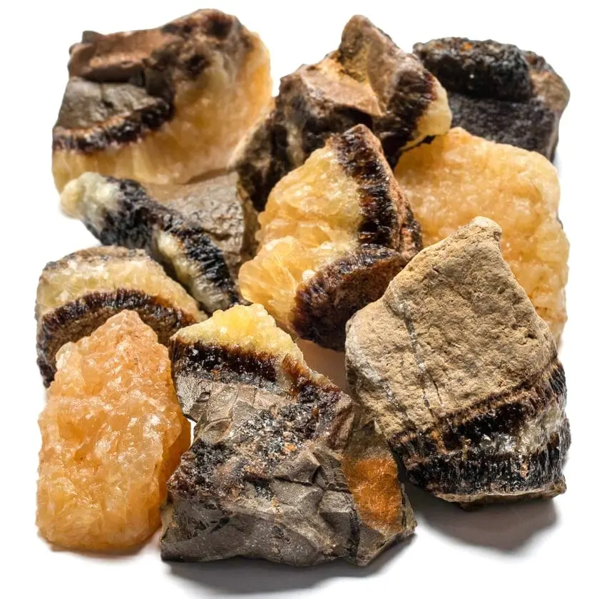 Rough Septarian (10 Stone Bundle) 1