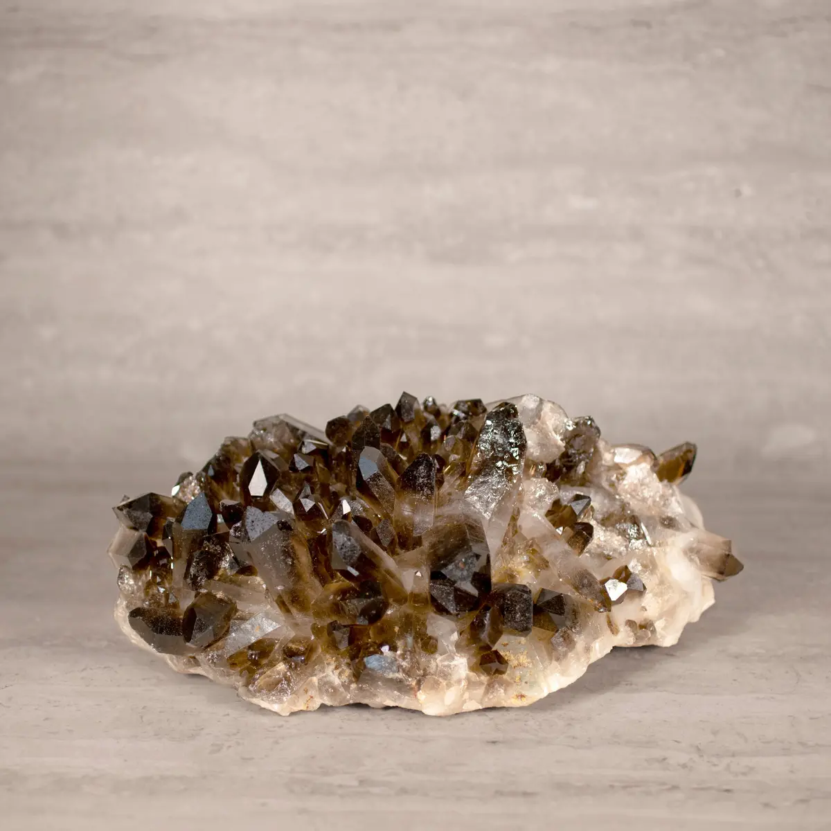 Smoky Quartz Cluster From Brazil - 11.5" / 14 Lbs 1