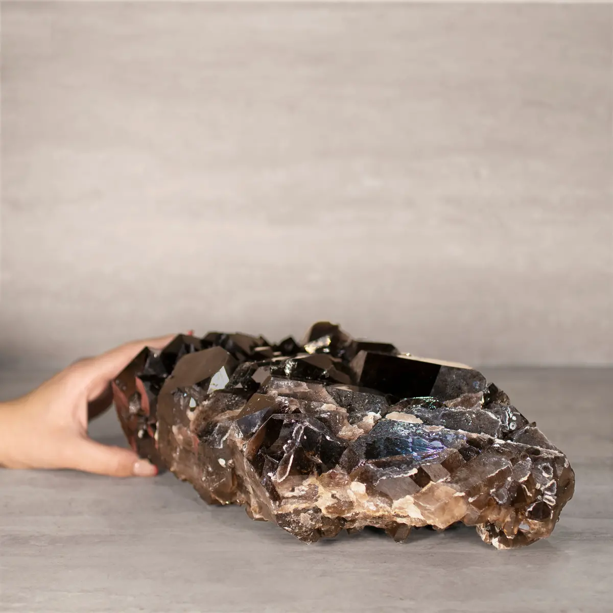 Smoky Quartz Cluster From Brazil - 12.75" / 16 Lbs 2