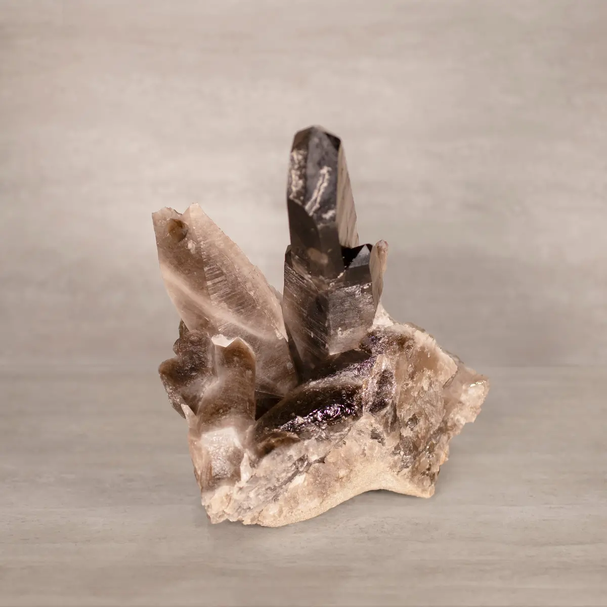 Smoky Quartz Cluster From Brazil - 9.5" / 11 Lbs 1