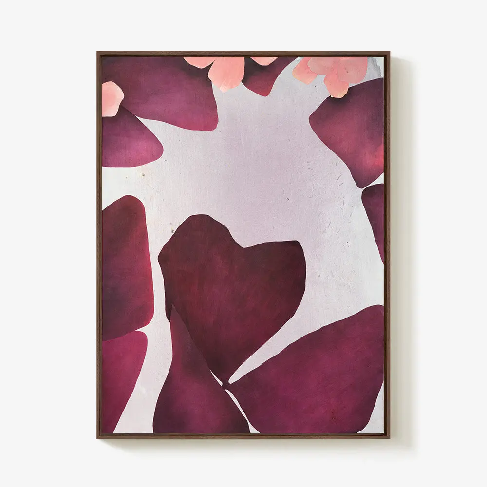Over And Through Oxalis, 1 1