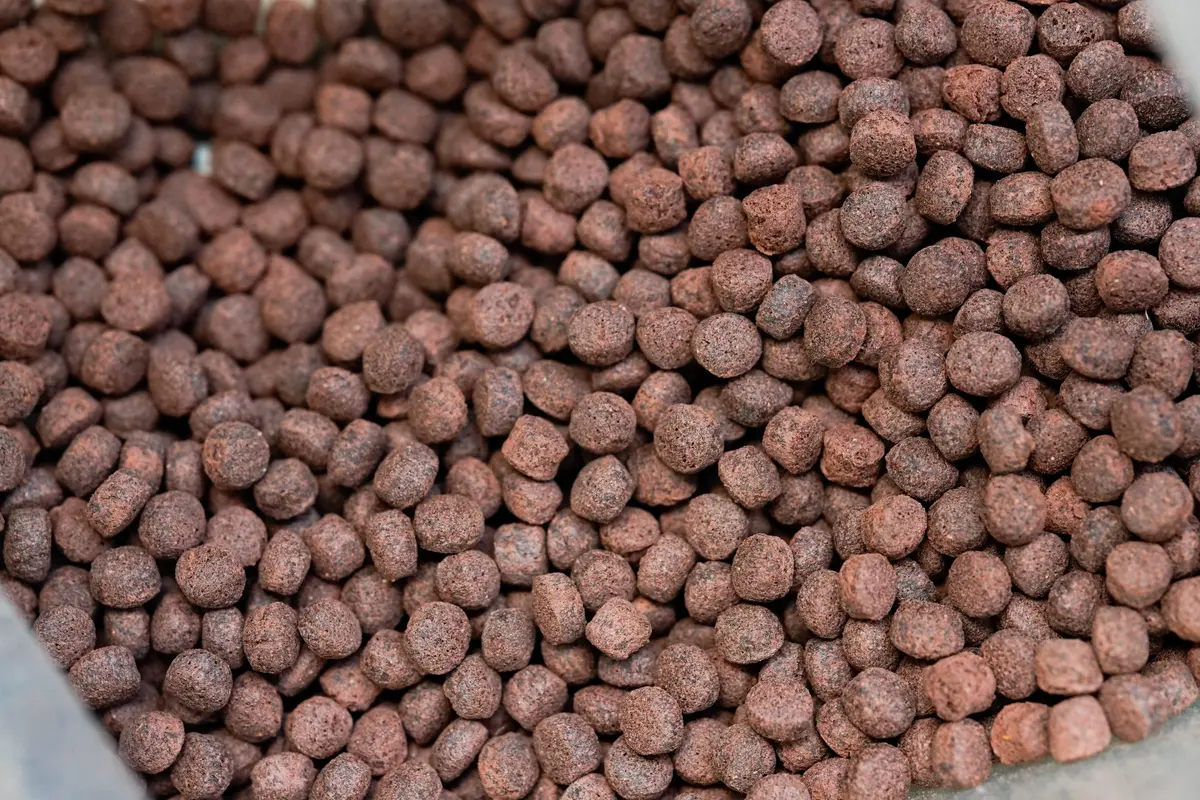 Goliath Beetle Larva Food Pellets 1