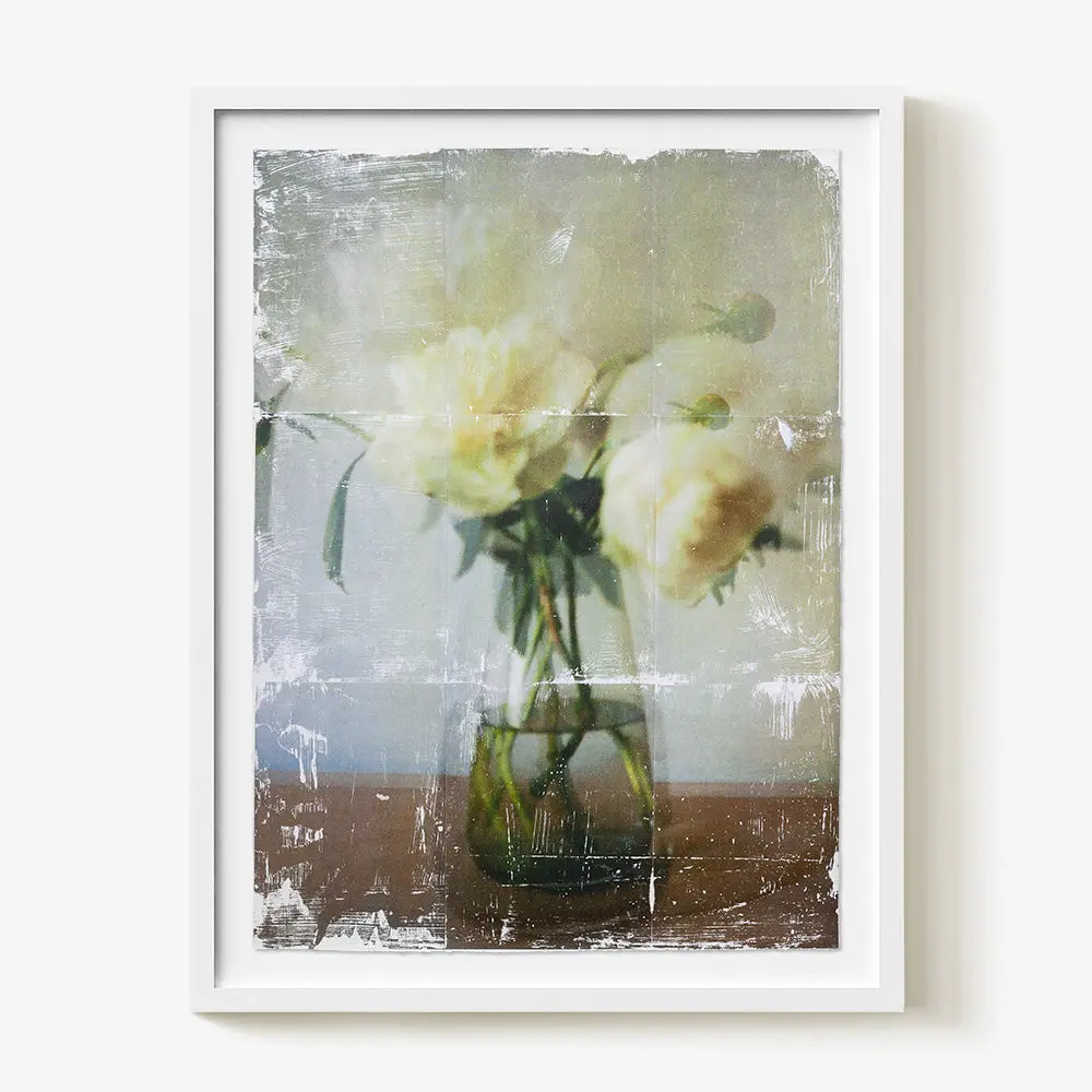Ranunculus _ Study. 01 1