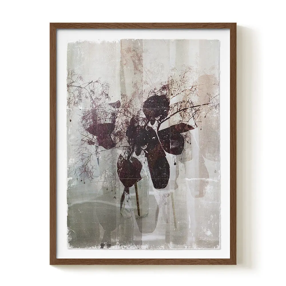 Smokebush_Study. 01 1