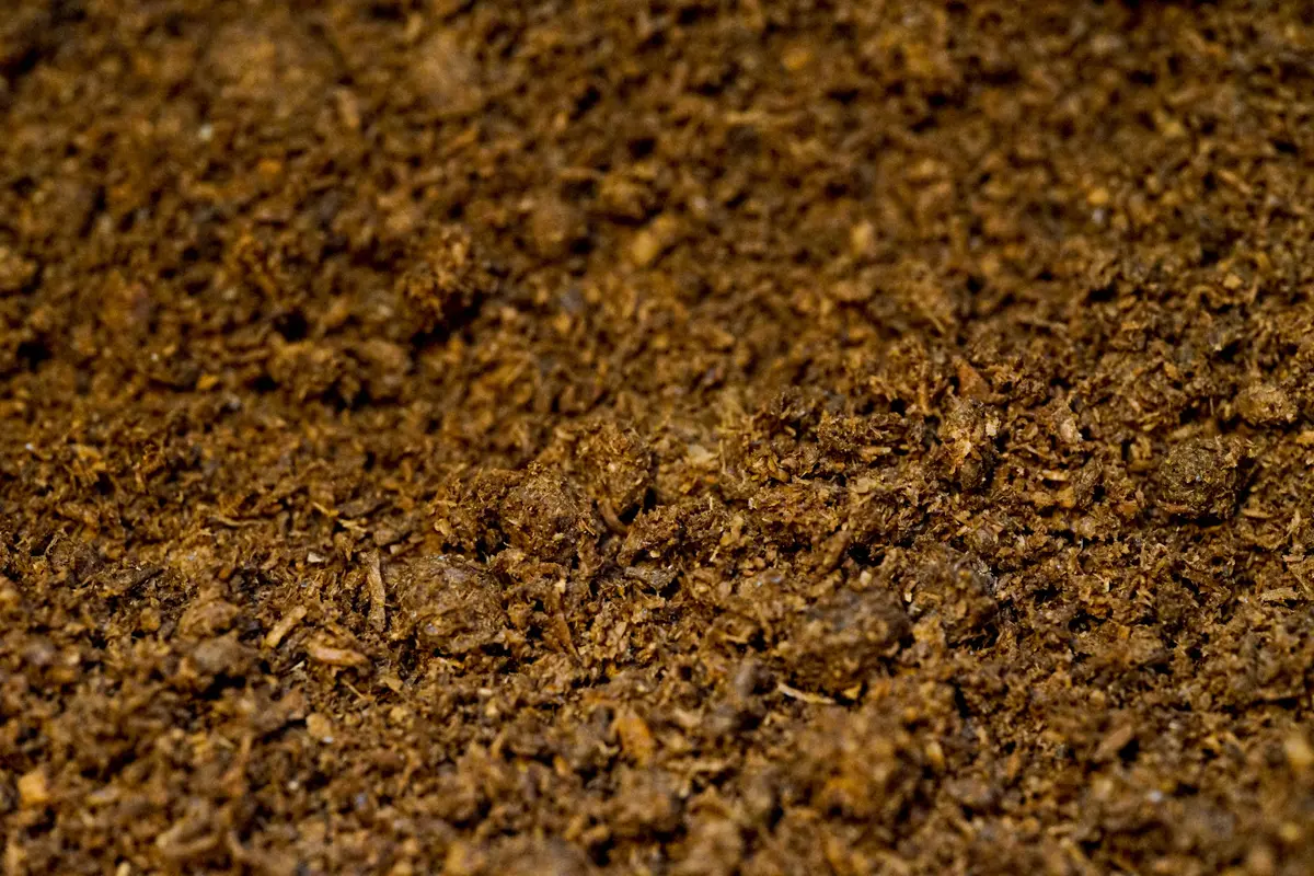 Stag Beetle Flake Soil 1