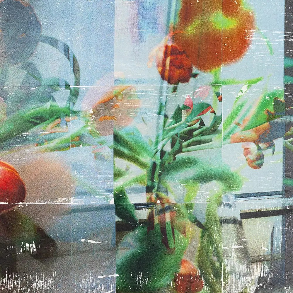 Tulip _ Study. 03 3