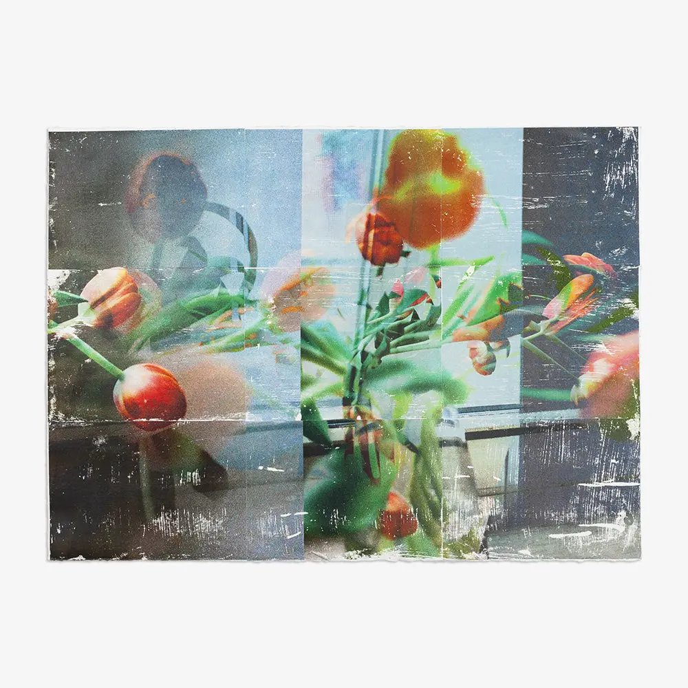 Tulip _ Study. 03 4